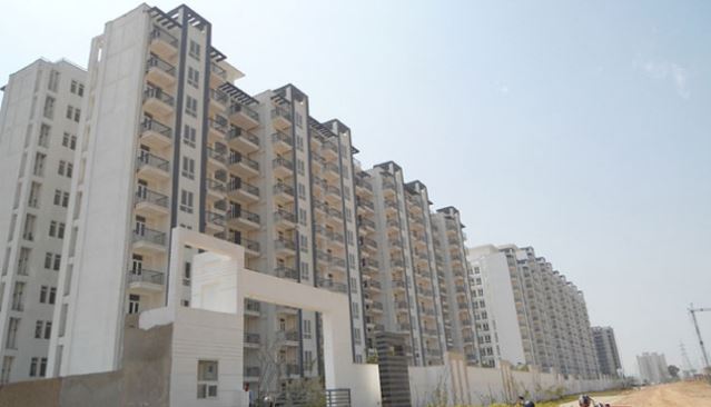 Apartment Sale Tulip White Sector 69 Gurgaon